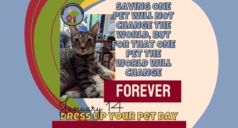 Photo of a tabby cat with a colorful background. Text reads: "Saving one pet will not change the world, but for that one pet the world will change. FOREVER. January 14 DRESS UP YOUR PET DAY."